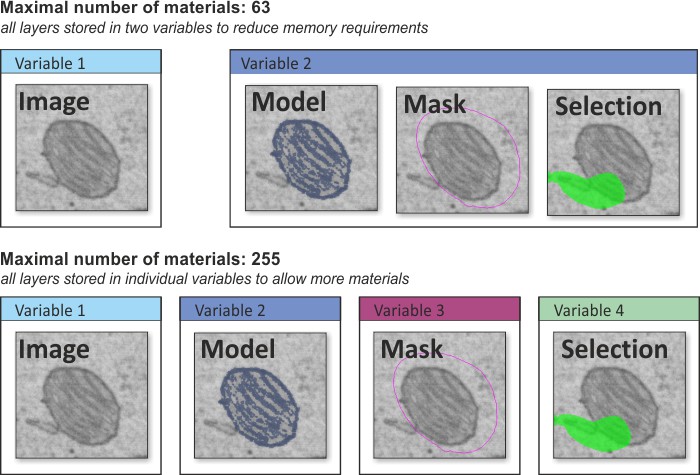 Data layers of Microscopy Image Browser (Image, Model, Mask, Selection)
