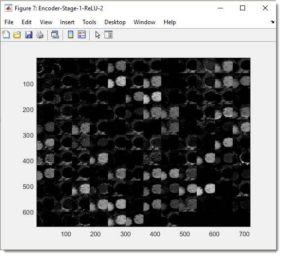 Collage of activation images