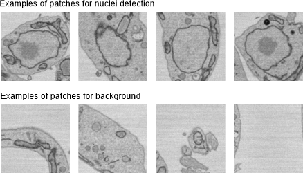 Nuclei patches