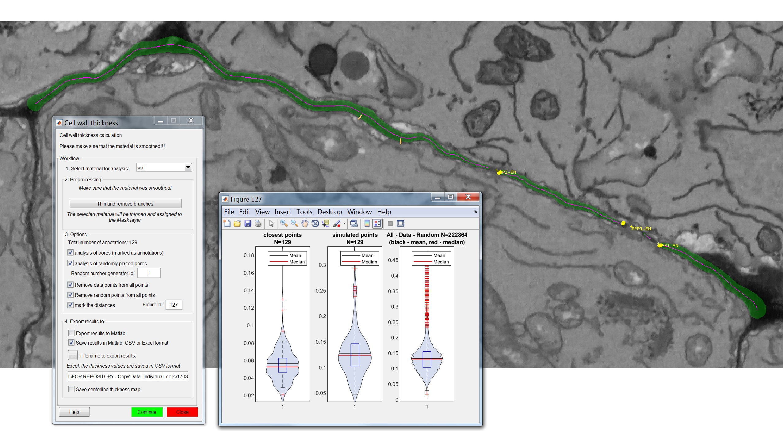 Cell Wall Thickness example