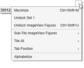 Image document view