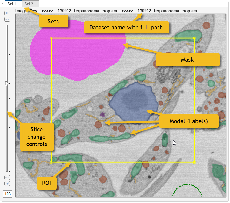 Image document view