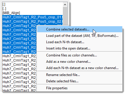 File List Context Menu