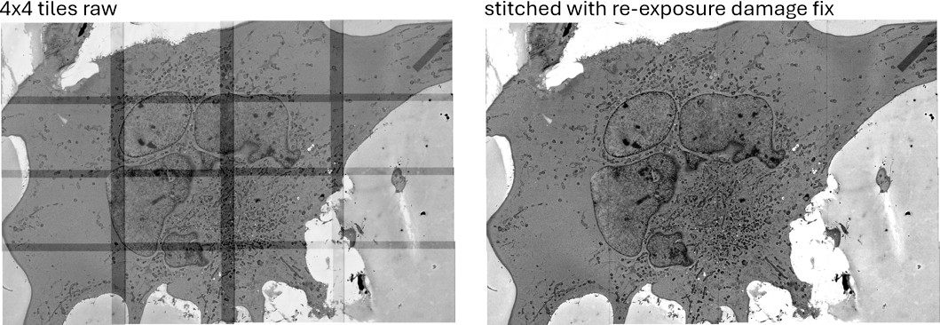 Stitching of 4x4 tiles imaged using SEM