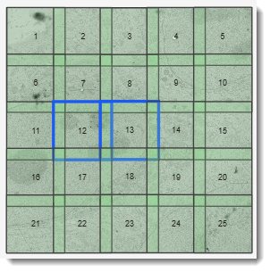 Minimap
