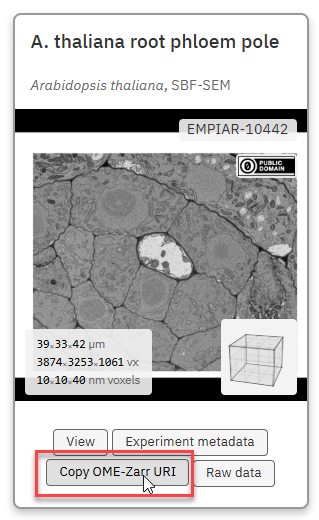 Select the dataset of interest: