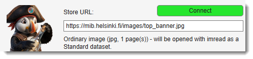 Ordinary image URL