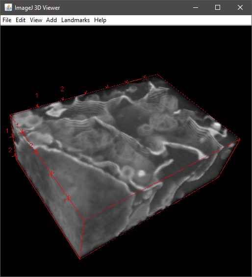 Rendering using Fiji Viewer directly from MIB