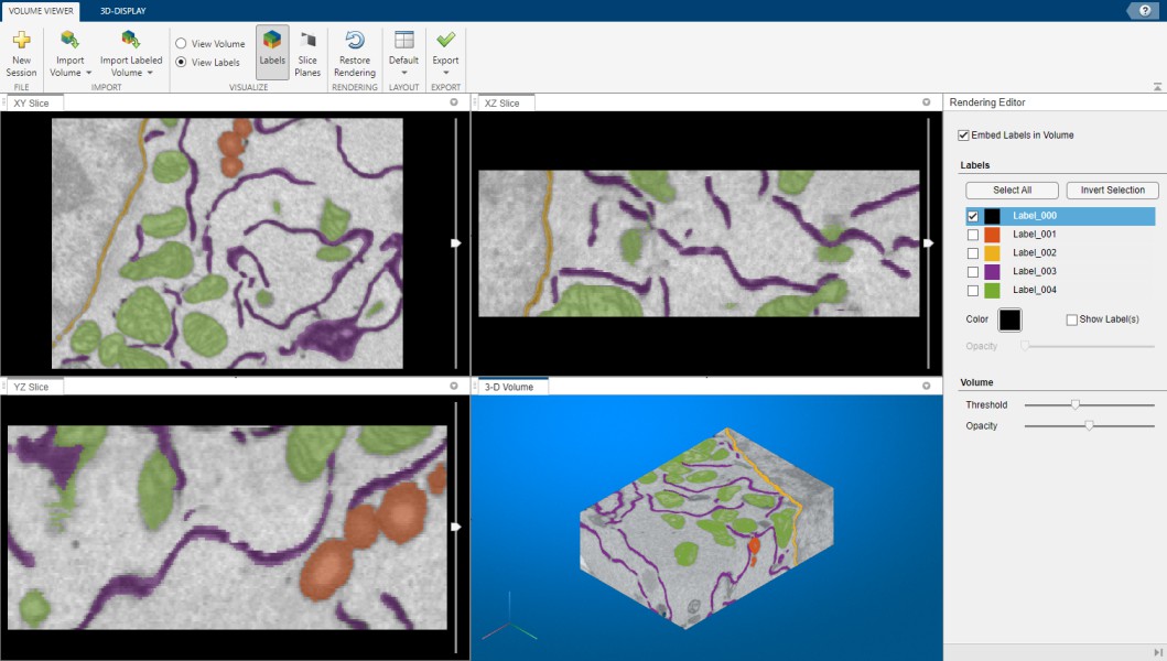 Rendering in MATLAB Viewer