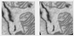 Elastic Distortion Filter