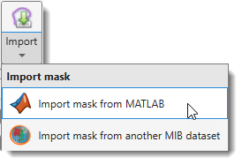 Import mask