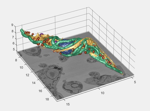 MATLAB Isosurface