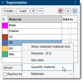 Start quantification directly from the Segmentation table