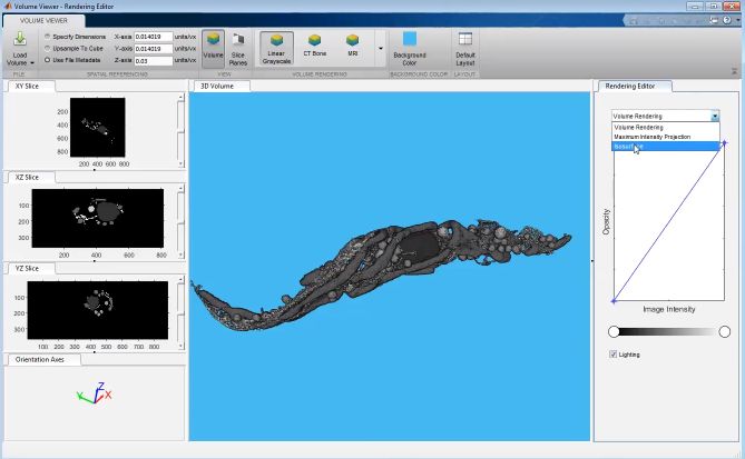MATLAB Volume Viewer