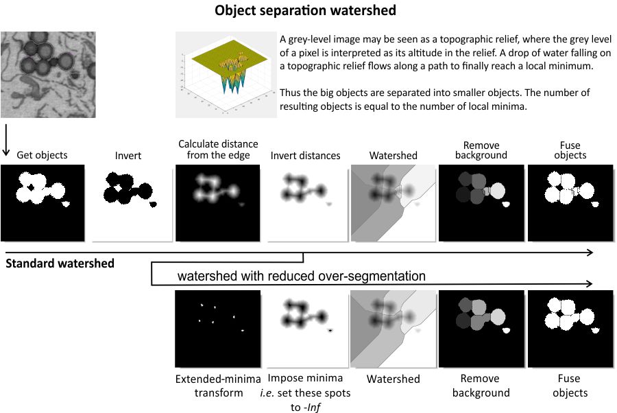 Workflow of the object separation algorithm