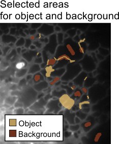 Manual segmentation of Object and Background